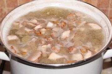 Как варить шиитаке: свежие, сушеные и замороженные. Особенности приготовления, выбор ингредиентов. Калорийность грибов.
