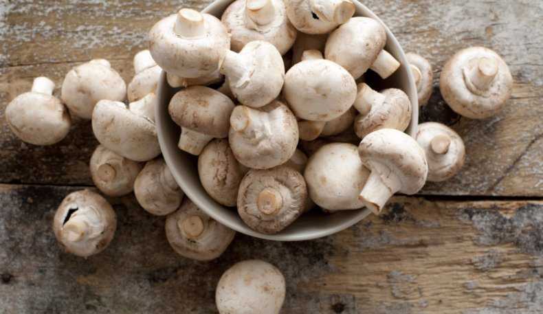 Хранение шампиньонов в холодильнике: способы, сроки годности. Как хранить свежие, покупные, жареные, маринованные, консервированные грибы.