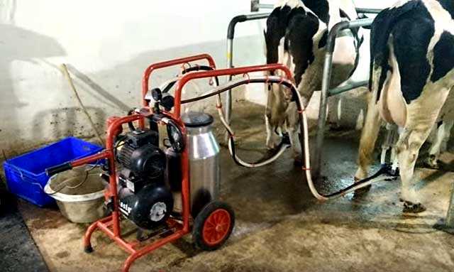 Доильные аппараты для коров в домашних условиях, характеристики