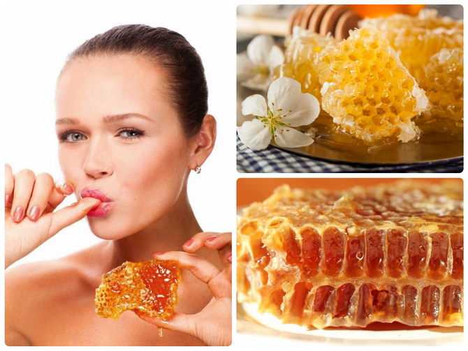 Мёд в сотах: как едят, хранят и можно ли глотать воск?
