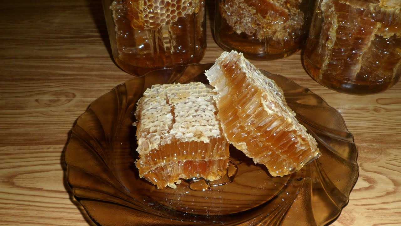 Как есть мед в сотах и можно ли глотать пчелиный воск из сот?
