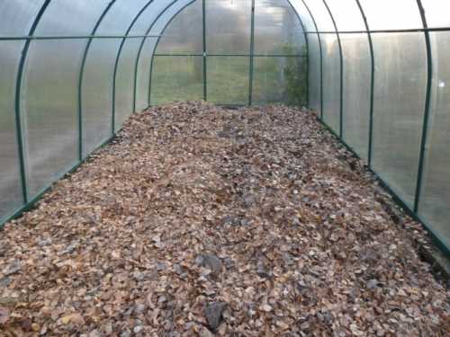Обработка почвы в теплице весной: защита от вредителей и подготовка к высадке