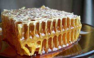 Пчелиные соты польза. можно ли есть пчелиные соты?