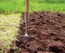 Как эффективно избавиться от сорняков и травы в огороде на дачном участке народными средствами