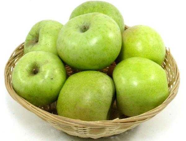 Яблоня семеренко: описание сорта яблок, посадка и уход + фото, отзывы