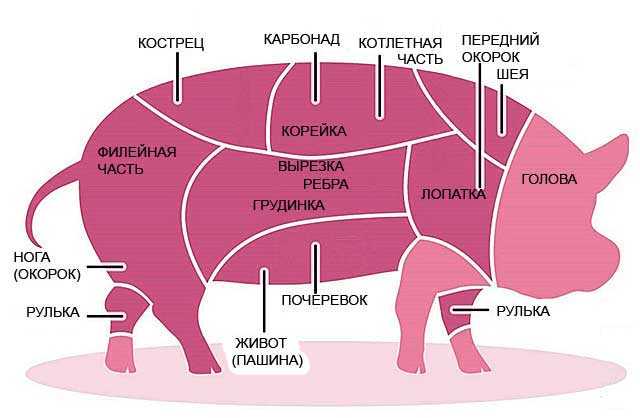 Как разделать свинью