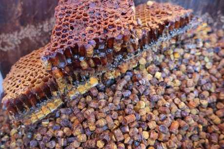 Пчелопродукты. основные виды, характеристики и полезные свойства