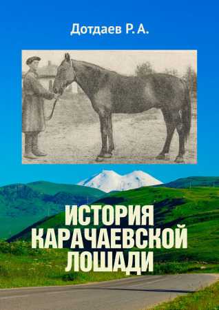 Описание карачаевской породы лошадей