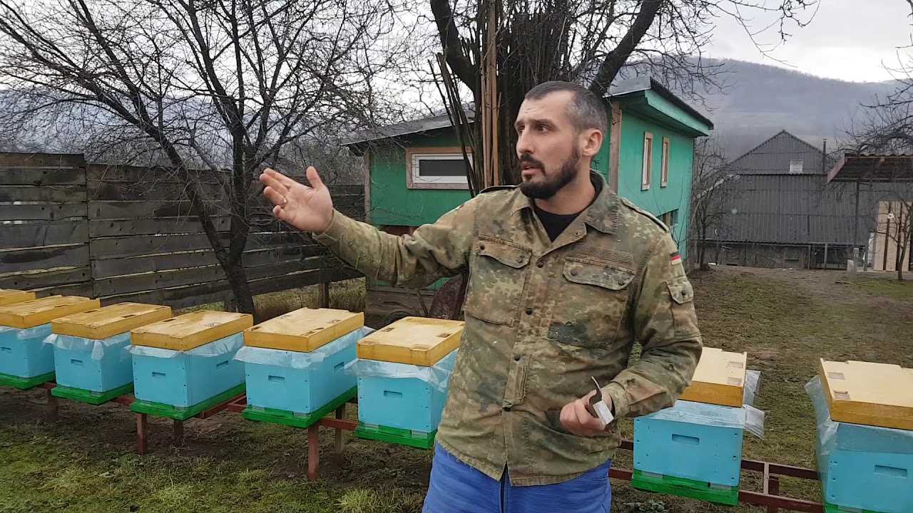 Пчеловодство для начинающих: пошаговая инструкция с чего начать и как развить пасеку (110 фото)