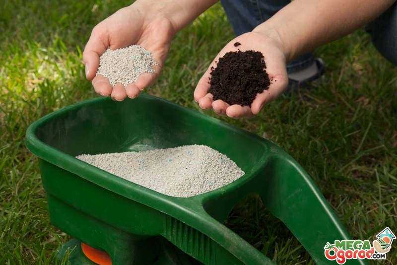 Удобрение азофоска - применение осенью, состав, инструкция, когда и где применять нитроаммофоску на огороде - почва.нет