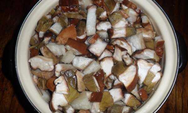 Заморозка белых грибов на зиму в домашних условиях: лучшие рецепты