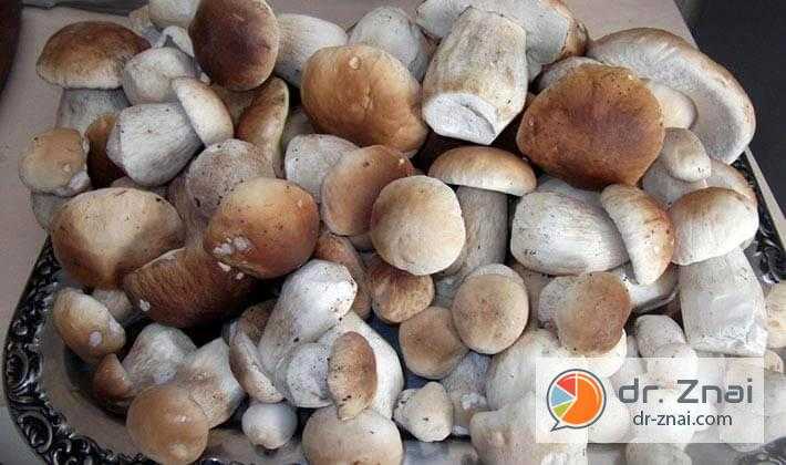 Как хранить свежие грибы в домашних условиях в квартире