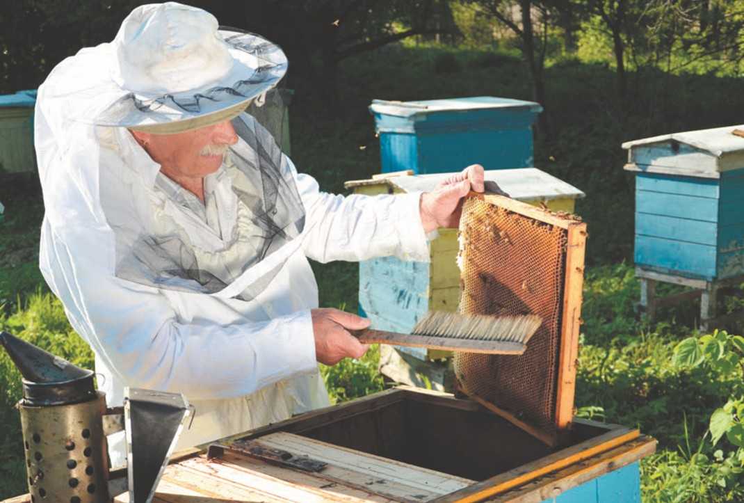 Все для пчеловодства: инвентарь пчеловода, пасечное оборудование и приспособления