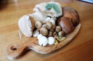 Срок и условия хранения жареных грибов
