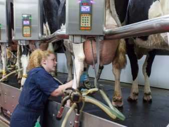 Доильные аппараты буренка для коз и коров: технические характеристики, фото и видео