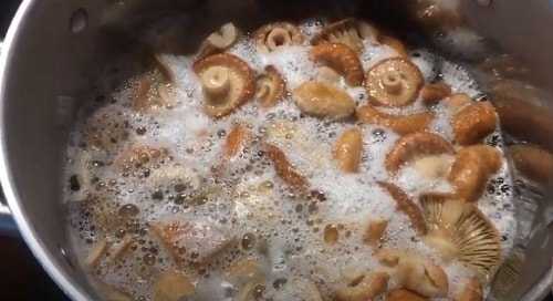 Как пожарить грибы белянки с картошкой. грибы белянки, их описание, фото, и рецепты: как их вкусно готовить