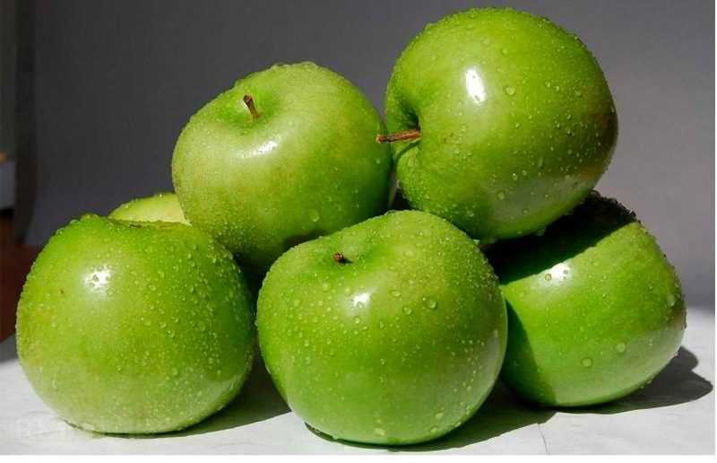 Яблоки семеренко: описание сорта, фото, отзывы, калорийность