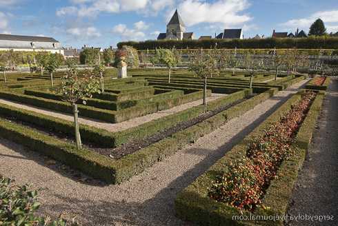Красивые грядки своими руками: декоративный огород, французский, английский, фото