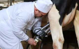 Описание доильного аппарата для коров «доюшка»
