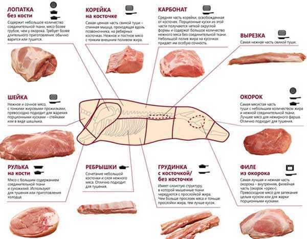 Корейка свиная — это какая часть, разделка свиной туши, части свинины названия. свиная корейка – какая это часть туши?