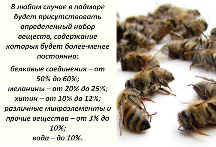 Применение в народной медицине пчелиного подмора