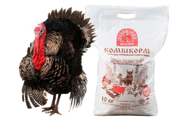 Состав комбикорма для индюшат