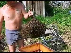 Как применять приманку унирой для пчелиных роев средства для привлечения как сделать своими руками