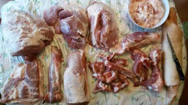 Кострец: схема разделки туши свинины, виды мяса и его полезные свойства