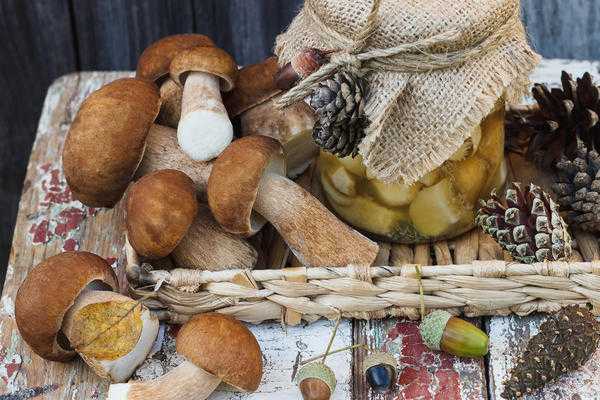 Лучшие рецепты приготовления белых грибов на зиму: видео и пошаговые инструкции кулинарной обработки боровиков
