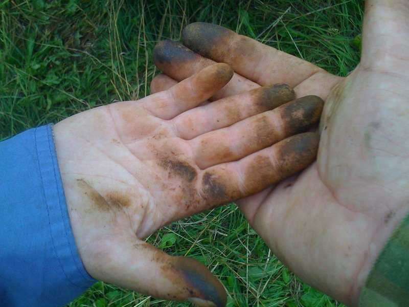 Чем и как отмыть руки от грибов маслят и других, в том числе после чистки