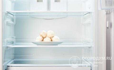 ✅ сколько можно хранить отварные грибы в холодильнике - питомник46.рф