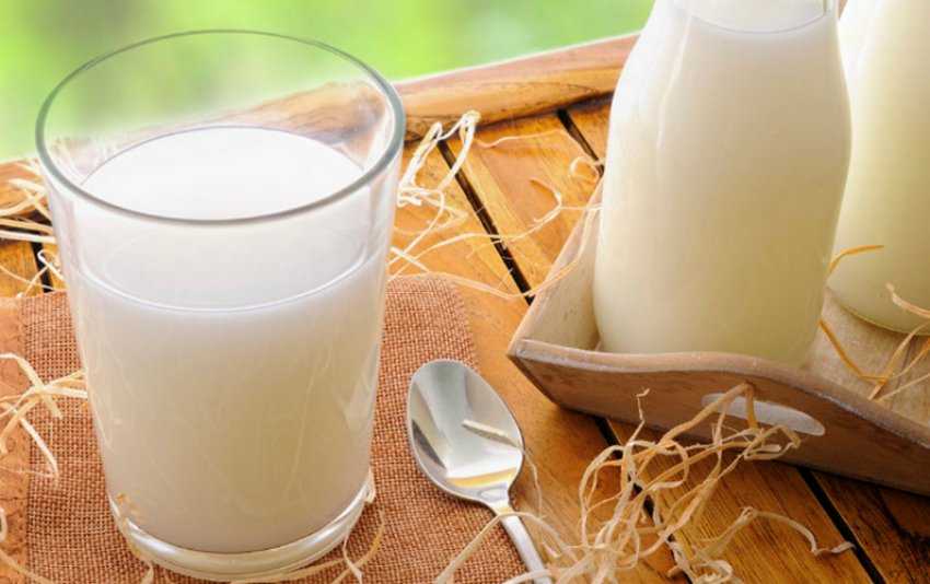 Почему корова не отдает все молоко, а зажимает: причины и что делать
