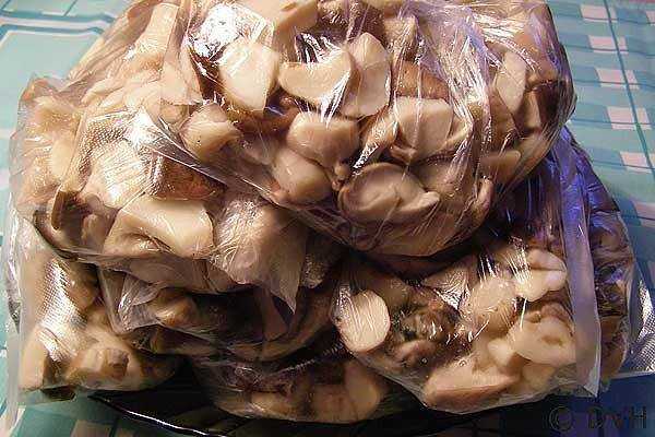 Маринованные белые грибы на зиму в банках. простые рецепты приготовления