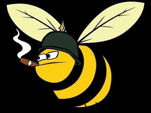 Пчелы воровки: как с ними бороться, как поймать и как предотвратить воровство?