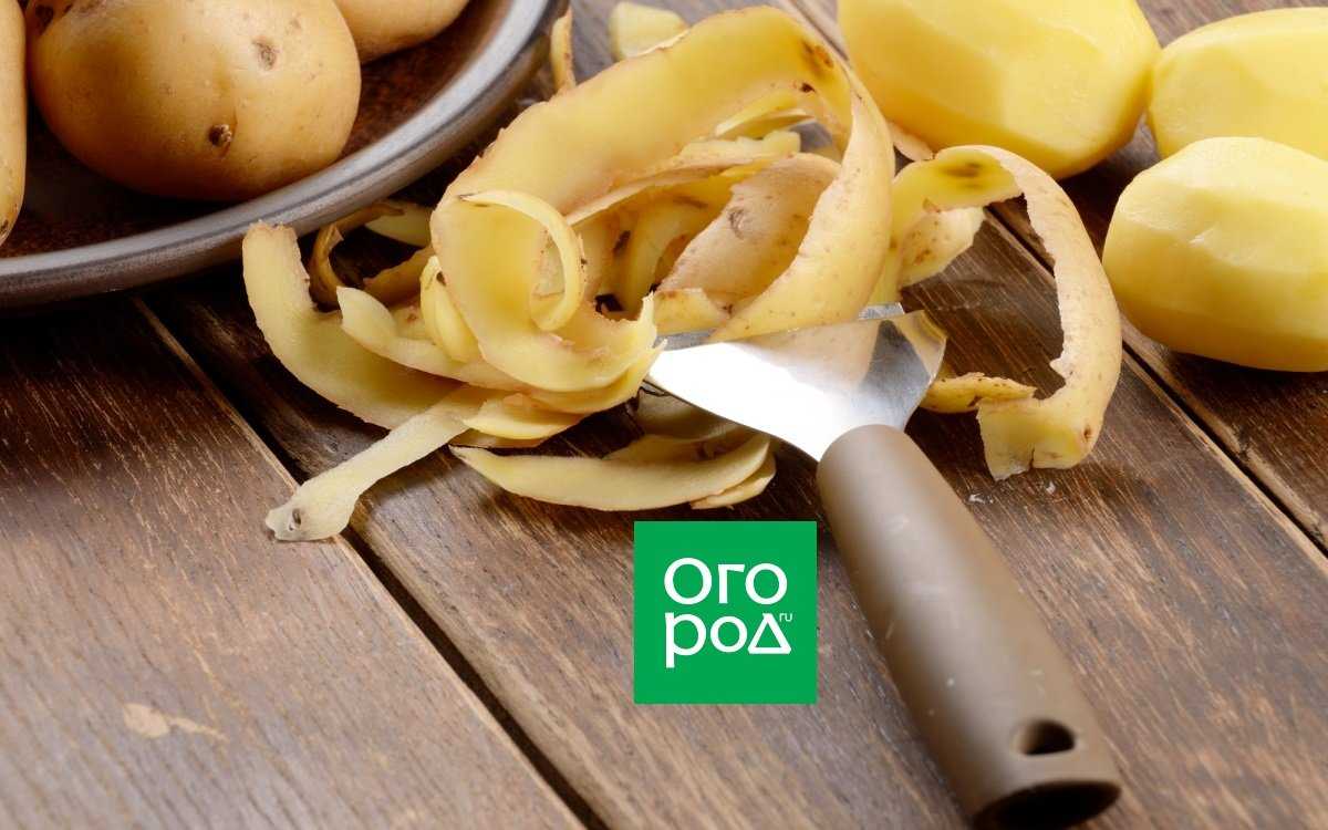 Подкормка картофельными очистками – дачные дела