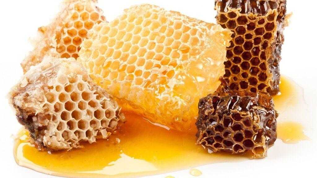 Пчелиные соты — все от а до я