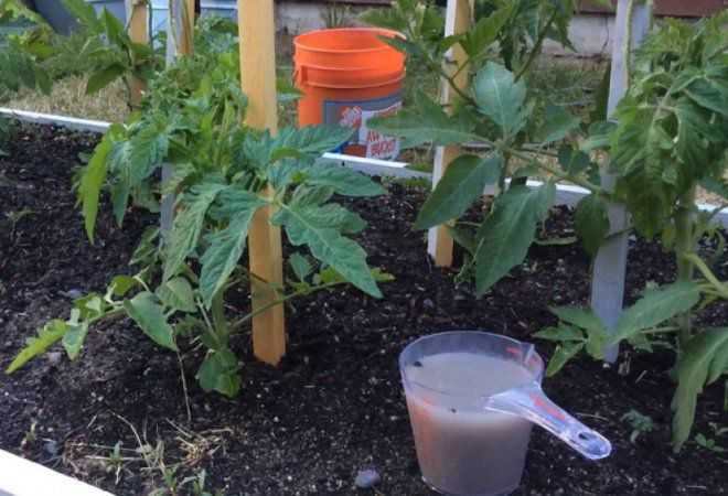 Нитроаммофоска удобрение: применение в саду и огороде