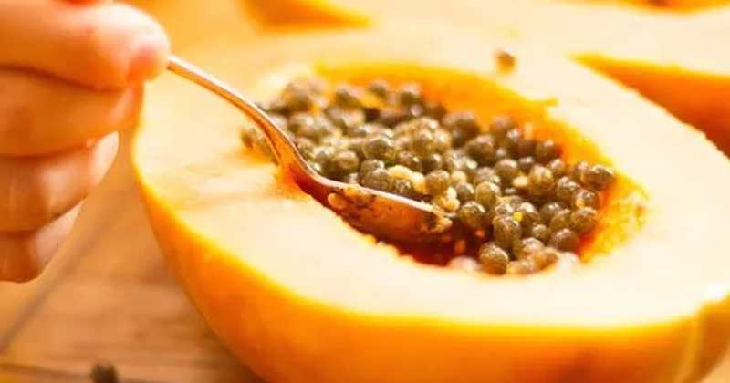 Польза и вред папайи для организма: поможет ли фрукт похудеть?