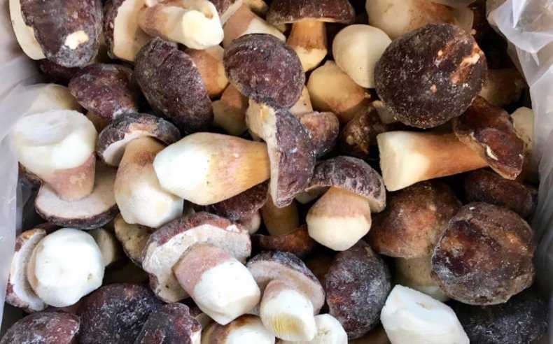 Как заготовить белые грибы на зиму: способы и рецепты заготовки боровиков