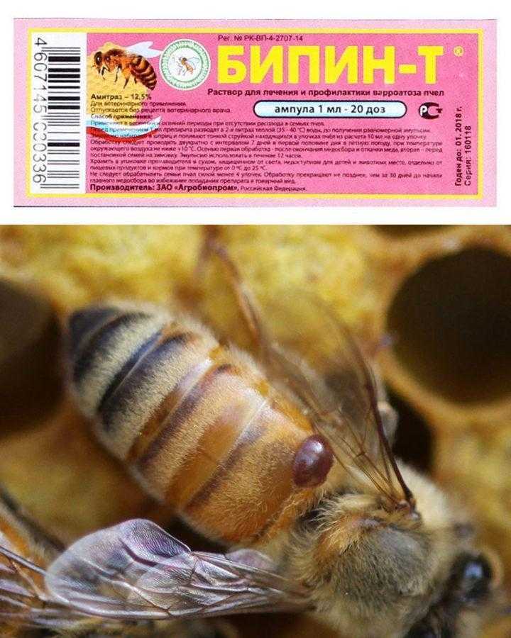 Можно ли обрабатывать пчел бипином в ноябре