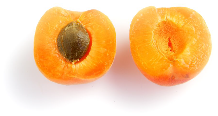 Характеристики и уход за сортом абрикосов лель