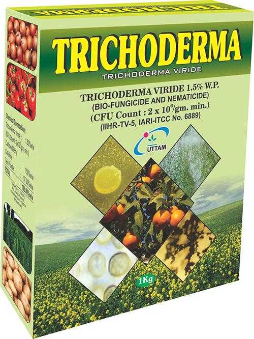 Триходермин — безопасный и эффективный защитник растений