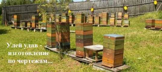 Многокорпусное содержание пчел: плюсы и минусы. Преимущество и технология многокорпусного пчеловодства, устройство улья, чертежи, изготовление своими руками. Правила ухода за пчелами, подготовка к зимовке.