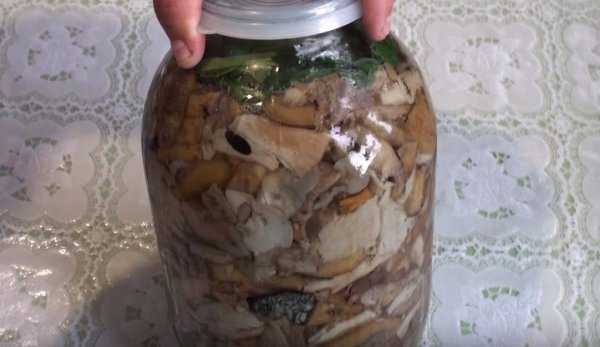 Как готовить грибы-зонтики - оригинальные идеи приготовления блюд на каждый день и на зиму