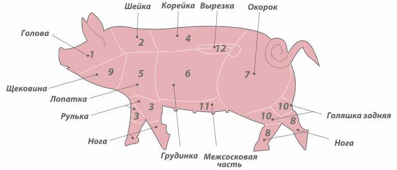 Как узнать массу по таблице веса свиней
