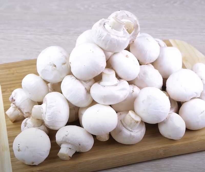 Белые грибы в духовке: рецепты запекания с мясом, пошаговый рецепт пирога и других блюд