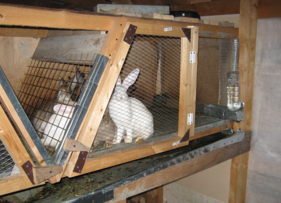 Промышленные клетки для содержания и выращивания кроликов