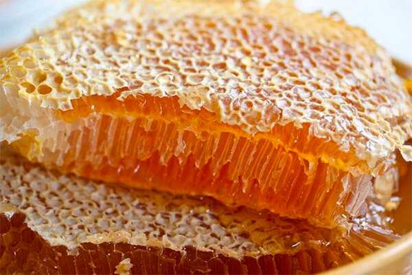Что будет если с сотовым медом проглотить и воск. Какая безопасная доза употребления воска для человека. Полезен ли сотовый мед и свежий воск, есть ли противопоказания.
