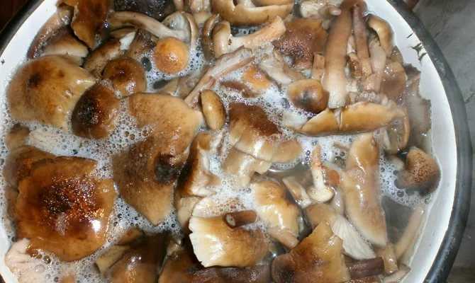 Как замачивать сушёные грибы для супа и вторых блюд: сколько времени, в какой воде