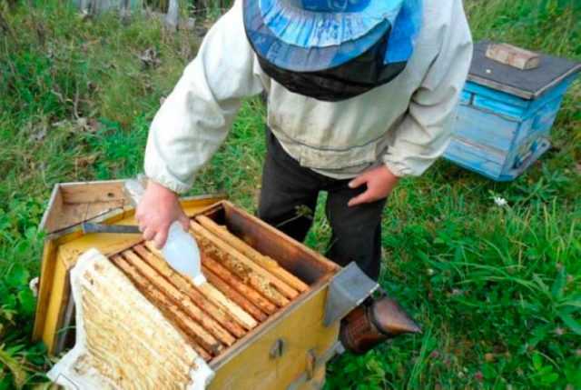 Аква-фло для пчел: инструкция - советы дачнику
